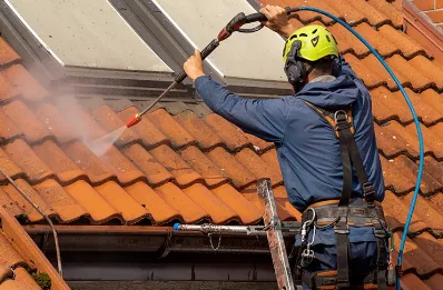 Démoussage et hydrofuge de toiture à Roussines
